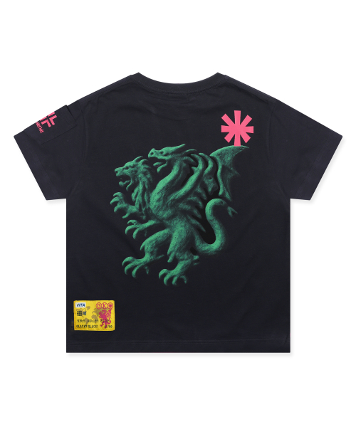 GT180 넷중독자 세미 크롭 티셔츠 (BLACK)