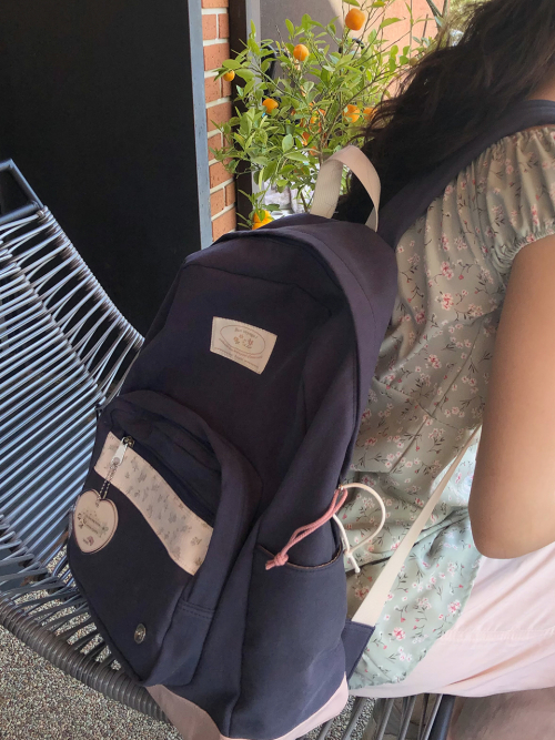 Bon voyage backpack_pink navy