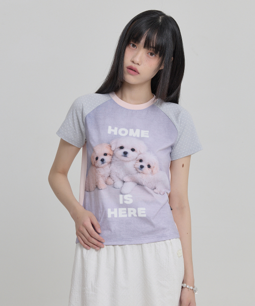 Maltese & Maltipoo Half Sleeve T-shirt SKYBLUE