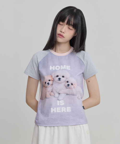 Maltese & Maltipoo Half Sleeve T-shirt SKYBLUE