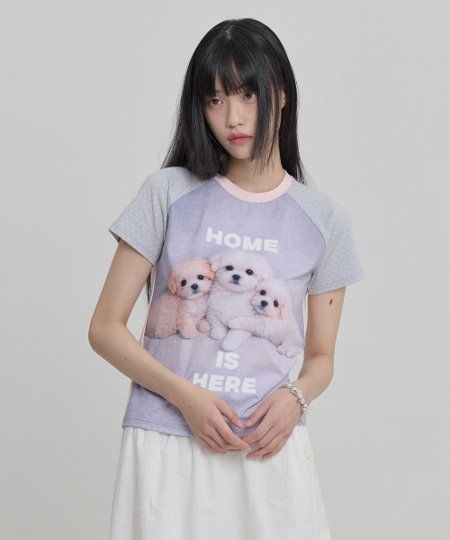 Maltese & Maltipoo Half Sleeve T-shirt SKYBLUE