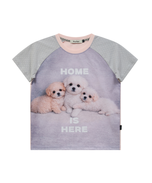 Maltese & Maltipoo Half Sleeve T-shirt SKYBLUE