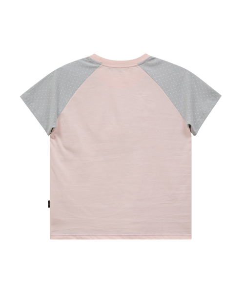 Maltese & Maltipoo Half Sleeve T-shirt SKYBLUE