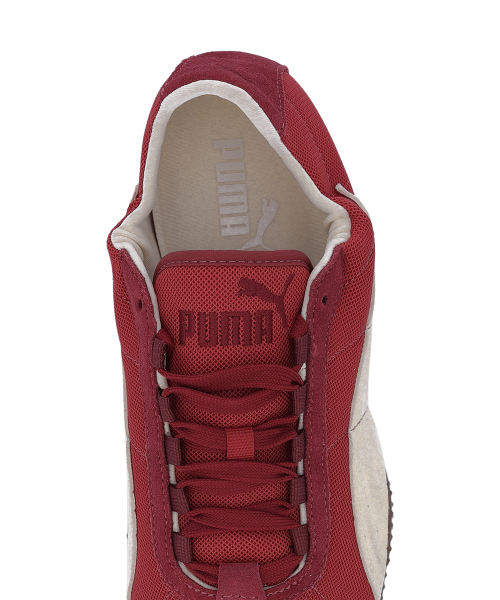 H-Street Elastic - Red Rhythm-Cashew Brown / 407303-01