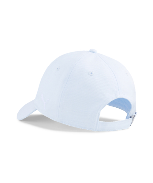 MCFC ESS Cap