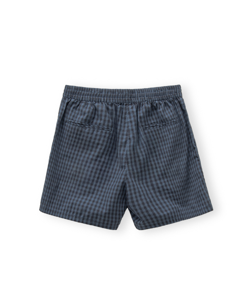 Check Shorts, Blue
