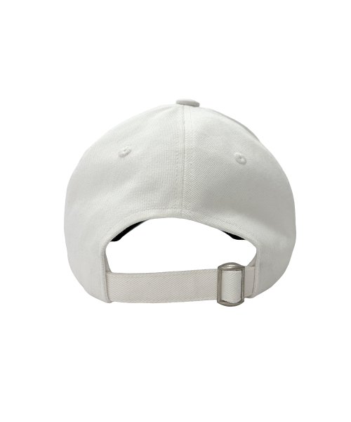Record 5 Panel Cap