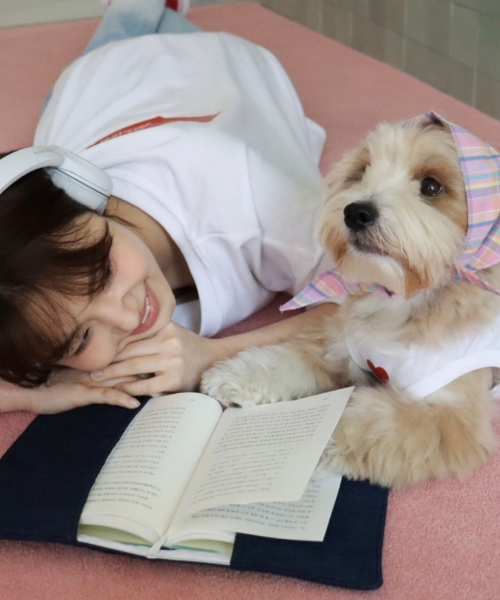 빈티지 체크 강아지 반다나 [핑크]