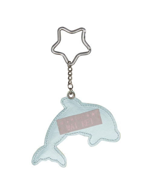 Dolphin Star Keyring