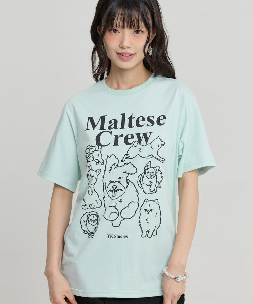 Maltese Crew Line Graphic Half Sleeve T-shirt MINT