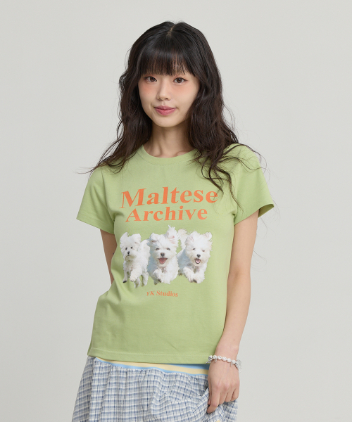 Maltese Archive Half Sleeve T-shirt YELLOW GREEN
