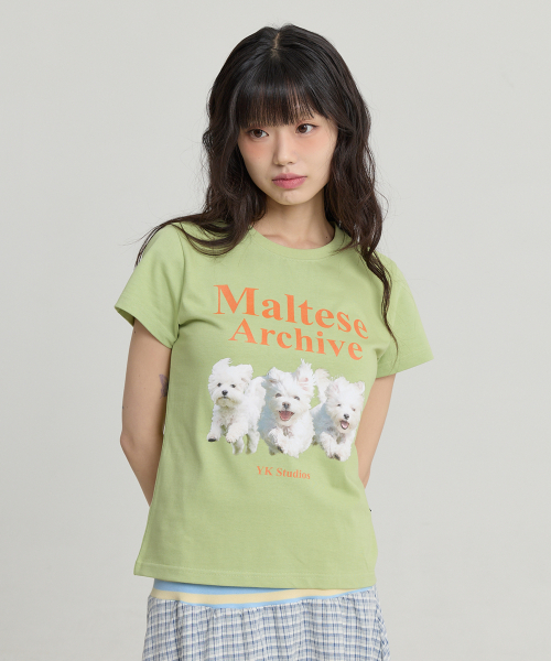 Maltese Archive Half Sleeve T-shirt YELLOW GREEN