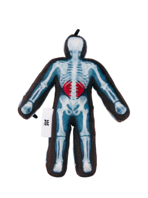 X-ray Human, Patient