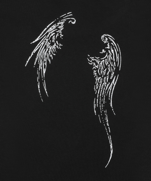 ETHER ANGEL WINGS SEE-THROUGH LONG SLEEVE T (2COLOR)