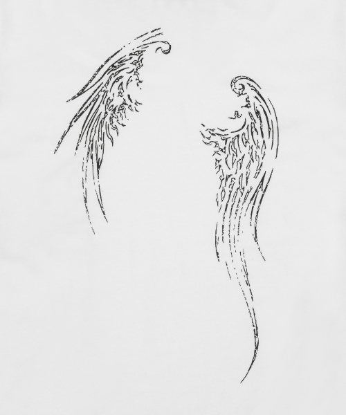 ETHER ANGEL WINGS SEE-THROUGH LONG SLEEVE T (2COLOR)