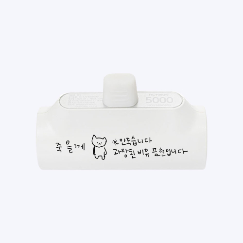 엉망 진창 마라 고앵이2 도킹형 보조배터리