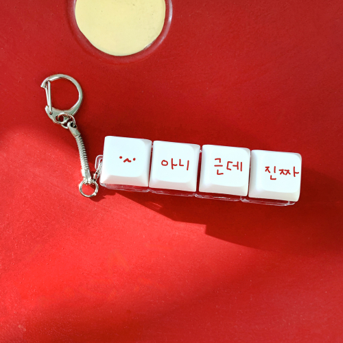 다중인격 마라고앵이 아니 근데 진짜 LED 키캡 키링(4구)
