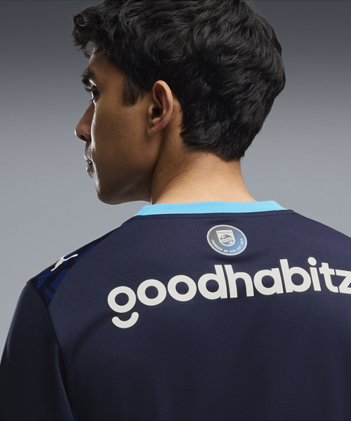 PSV Third Jersey Replica