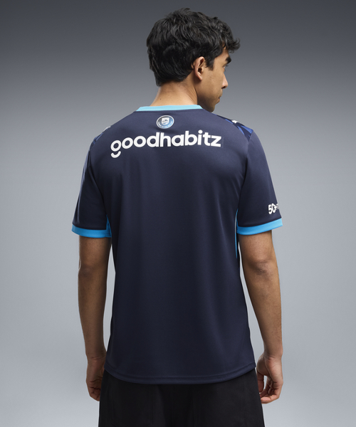 PSV Third Jersey Replica