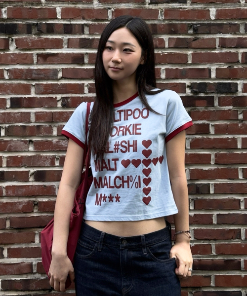 Maltipoo Lettering Color Block Crop Ringer Short Sleeve T-Shirt SORA