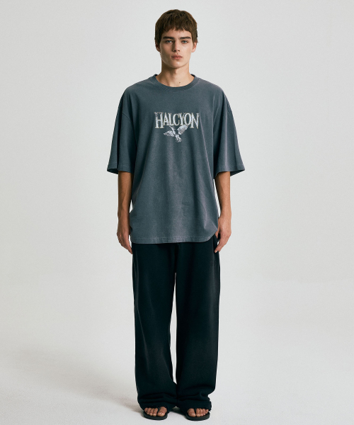 HALCYON STATUE WASHED T-SHIRT / NAVY