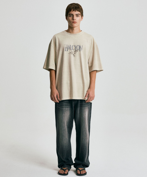 HALCYON STATUE WASHED T-SHIRT / Ivory