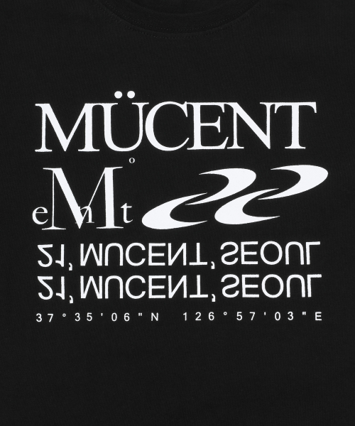 ESSENTIAL LETTERING LONG SLEEVE T (2COLOR)