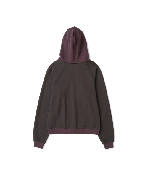 TCM colorblock hooded zip-up (dark brown)