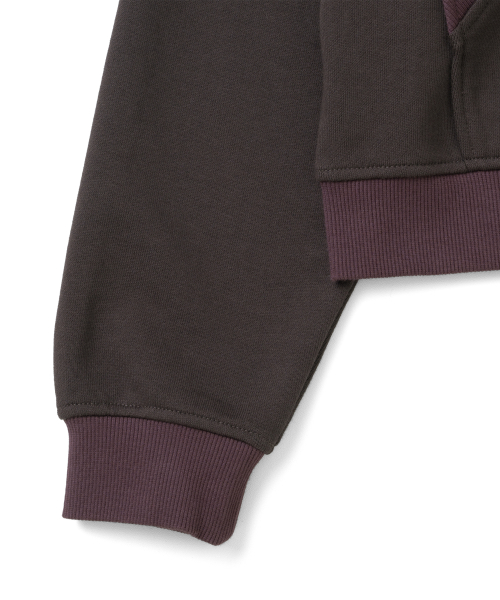 TCM colorblock hooded zip-up (dark brown)