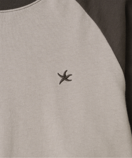 TCM mini logo raglan long sleeve (taupe/brown)