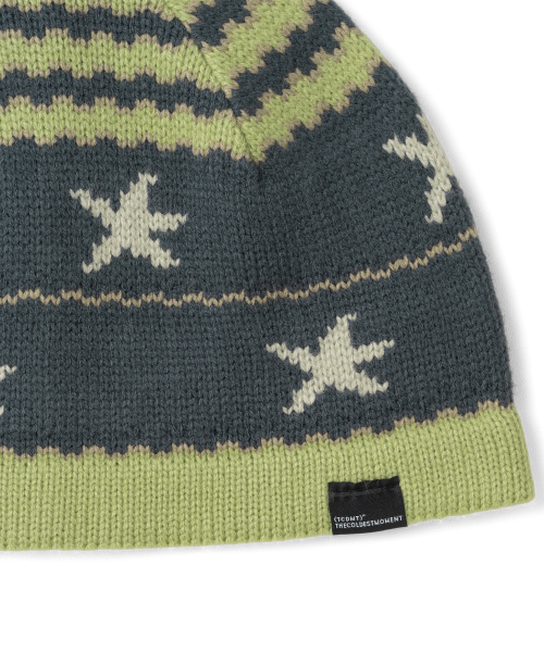 TCM starfish stripe beanie (green)