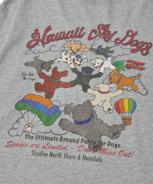 Sky Dog Long Sleeve T-Shirt_Melange Gray