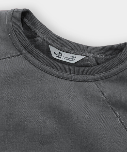 EVERYONES SOFT TOUCH SWEATSHIRT (VTG FADE)_5 COLOR