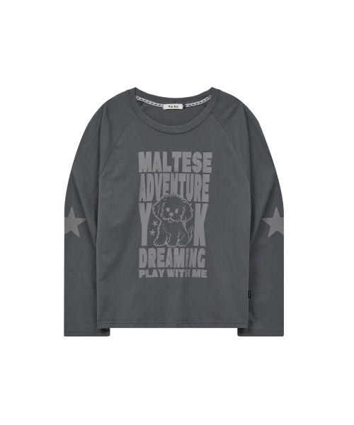 Maltese Adventure Raglan Long Sleeve T-shirt CHARCOAL