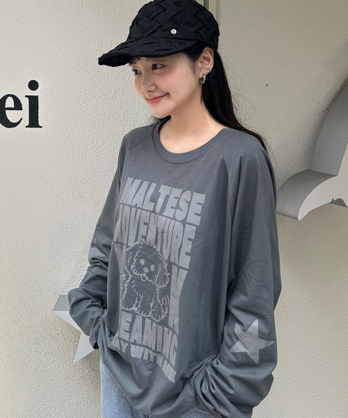 Maltese Adventure Raglan Long Sleeve T-shirt CHARCOAL