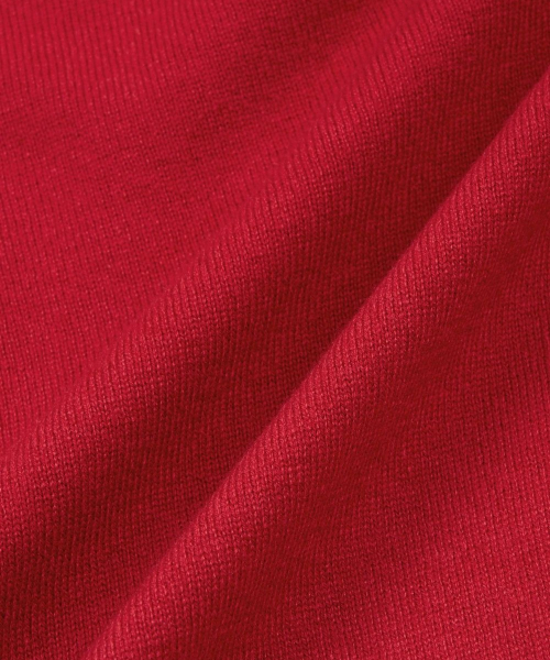 Layered V-Neck Knit Top (Red) TNSW6F108R2