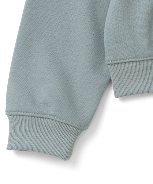 TCM starfish zigzag hoodie (mint grey)