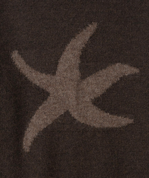 TCM starfish logo contrast knit (brown)