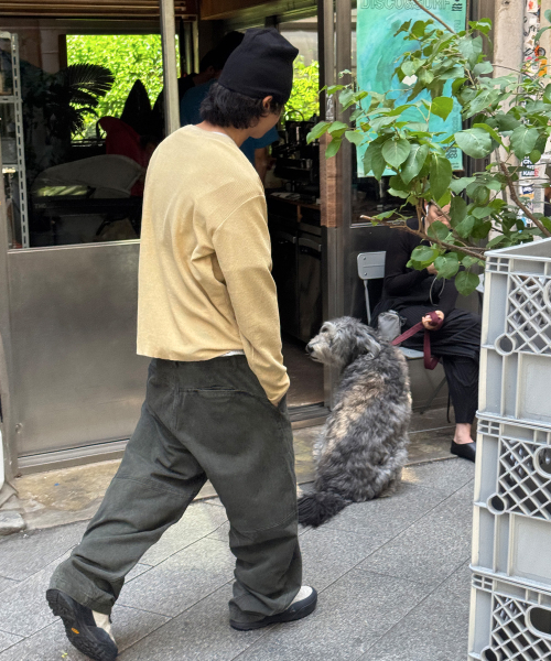가먼트 다잉 커브드 코튼 팬츠[카키]