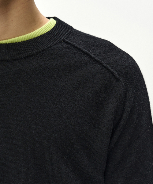 SHANE CASHMERE CREW-NECK SWEATER (BLACK)