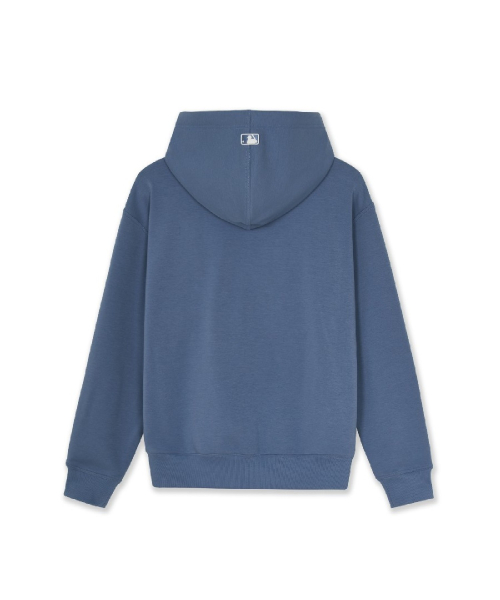 Basic Medium Logo Brusehd Hood Zip Up