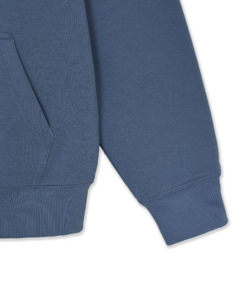 Basic Medium Logo Brusehd Hood Zip Up
