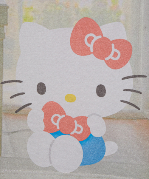 HELLO KITTY HOUSE GRAPHIC RAGLAN TEE [BEIGE]