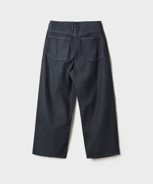 Pleated Wide Jeans_SPTJG49C52