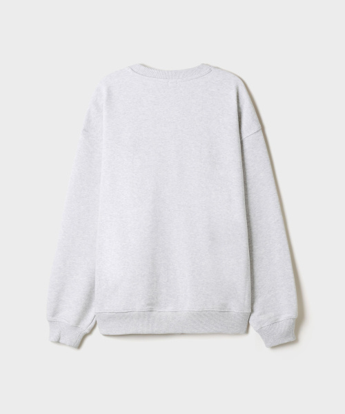 USA Sweatshirt (Fleece Lined)_SPMNG4TC91