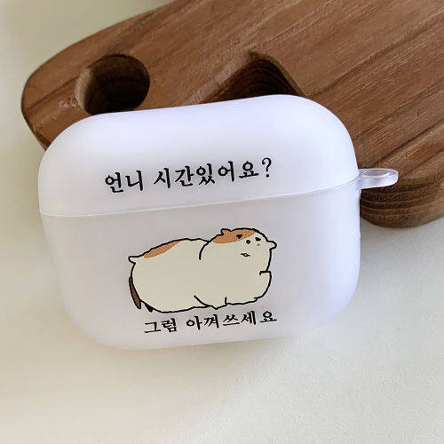 언니 시간 있어요 그럼 아껴쓰세요 에어팟 버즈 케이스