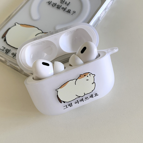 언니 시간 있어요 그럼 아껴쓰세요 에어팟 버즈 케이스