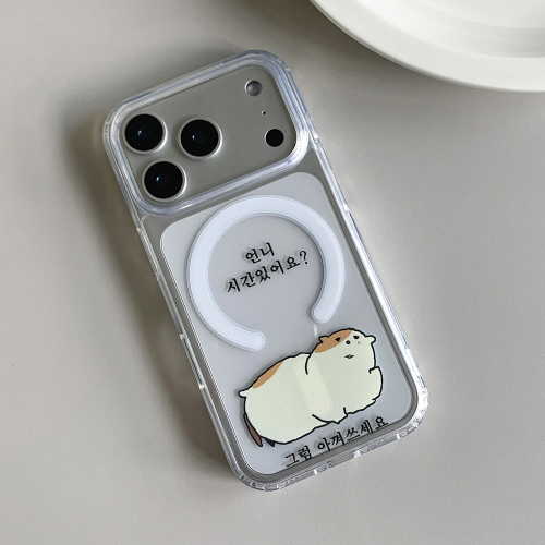 언니 시간있어요 그럼 아껴쓰세요 맥세이프 폰 케이스