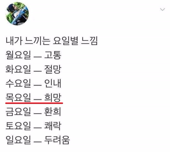 가격대별 롱 패딩 집중 탐구! 가격대별 롱 패딩 집중 탐구!