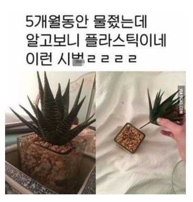 원효대사 해골물